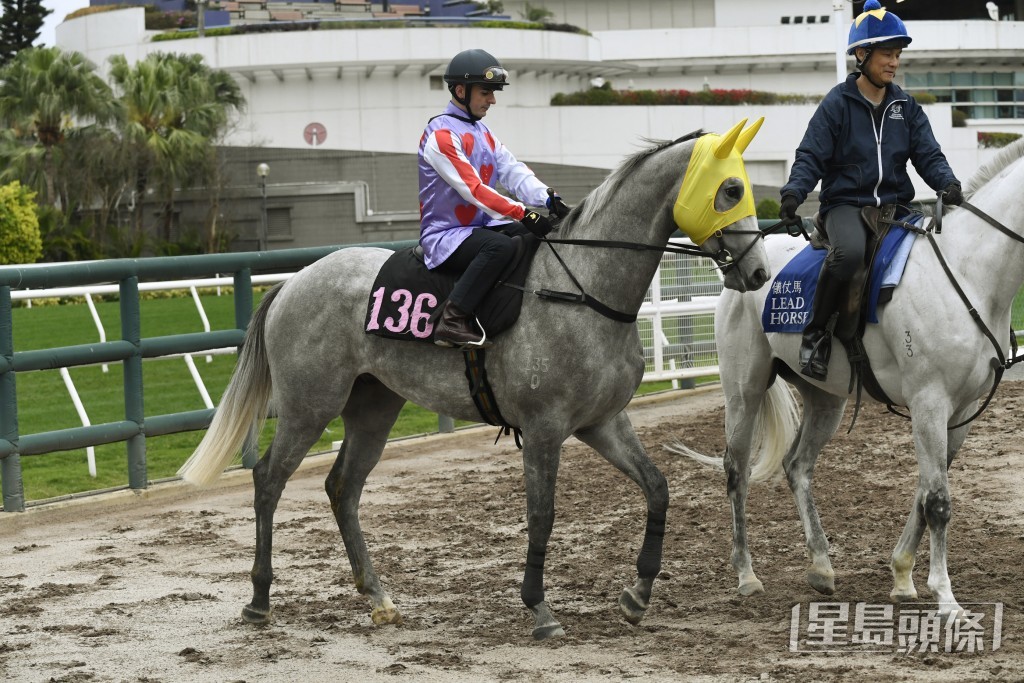 「精英雄心」今仗演出如何，要視乎本身際遇及對手臨場演出而定。