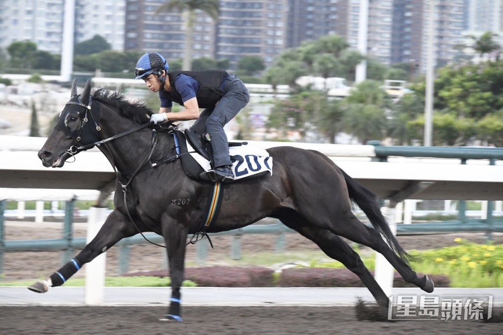 「枕頭之星」今朝出跳充滿睇頭，皆因不論課前課後，廖康銘均現身機坪主持大局。