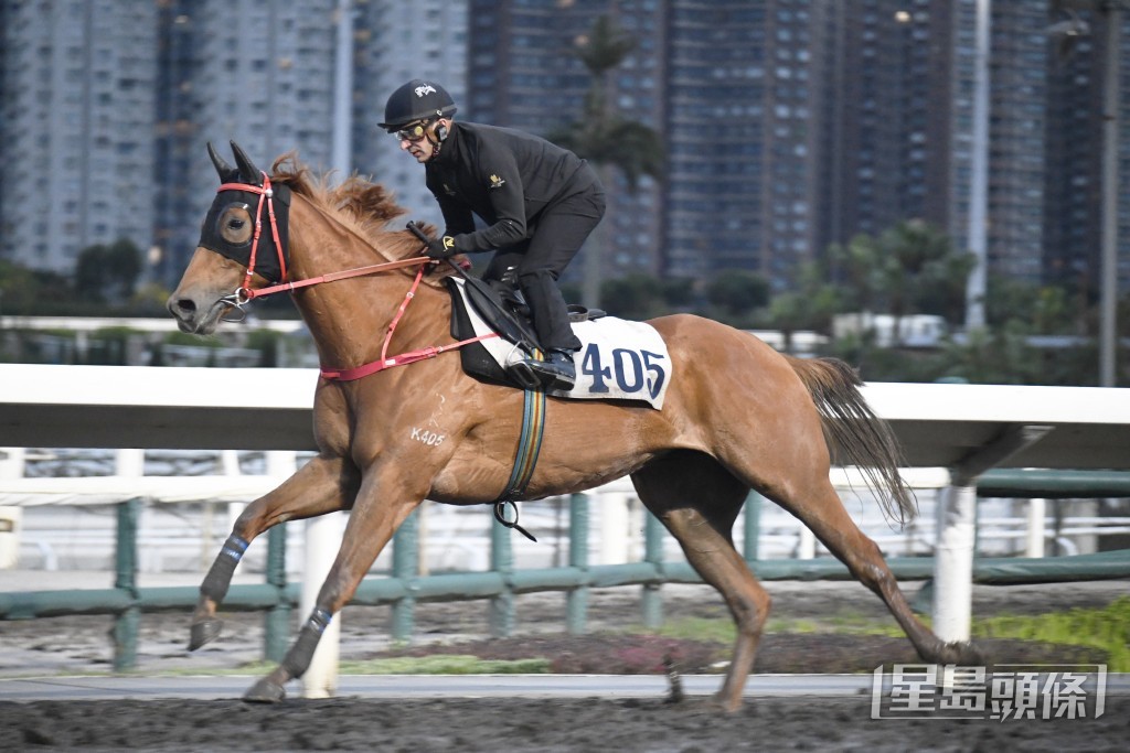 「起舞奜奜」充滿活力好生猛，正值勇境。