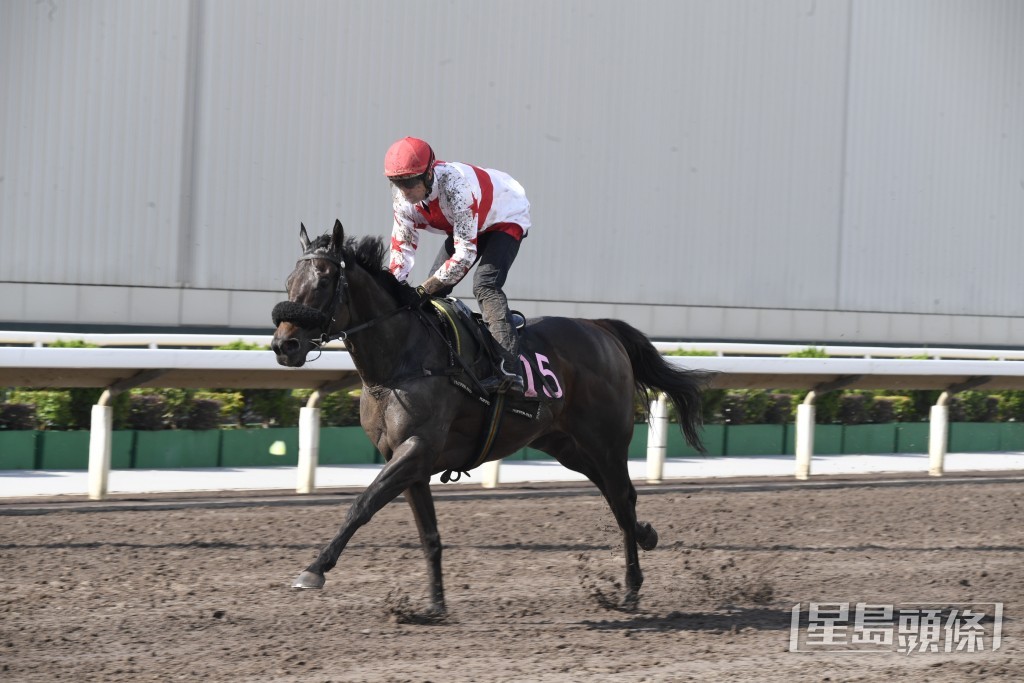 潘顿表示今次『坚闯』出战赢马路程，有力取得今季第二捷。