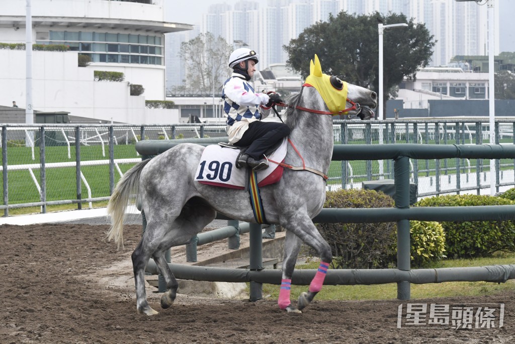 「凯明神驹」步幅开得好阔又够急劲，火力有增无减。
