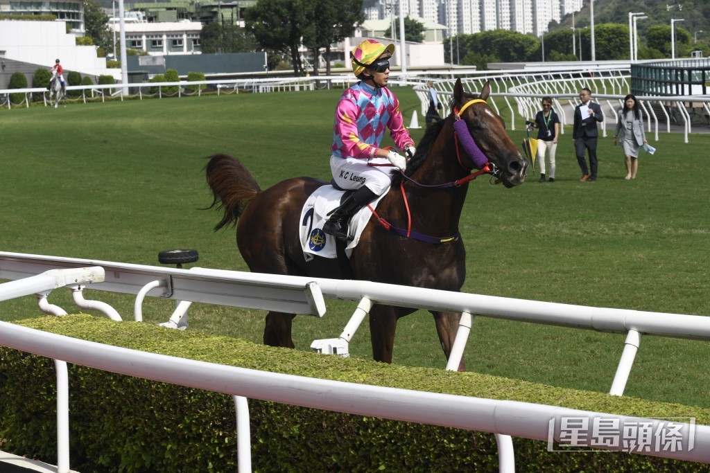 「智勝龍」上現評分極具優勢，汲取上仗教訓，今戰必定唔再亂咁搶前，發揮上會有保證。