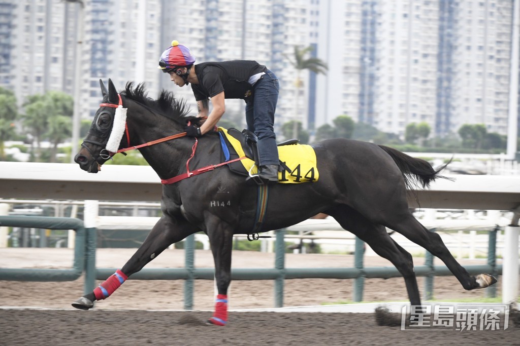 「快马加鞭」步挺顺畅，上佳水准无疲态。