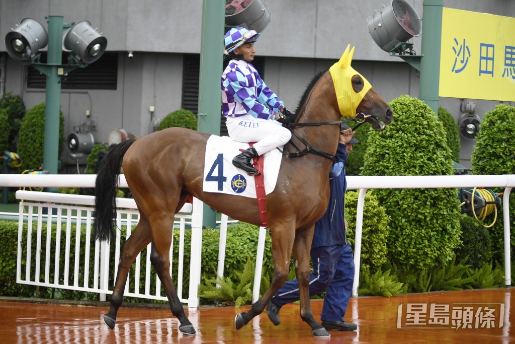  「隋我同來」上仗終於在千四米後上跑獲亞軍，首度在港上名。
