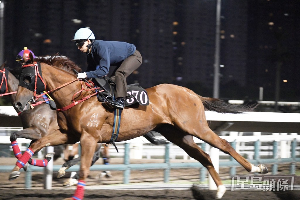 「加州本事」步爽力勁馬身仍，勇況未見低落。