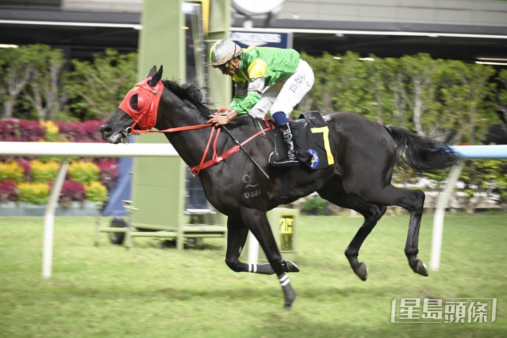  「香港精神」上仗取得久违了的头马。
