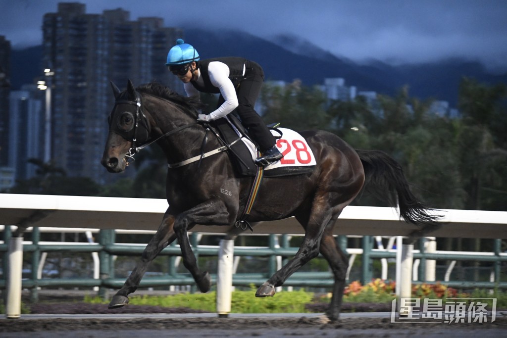 「赤馬雄風」戴頭罩由楊明綸跳兩段，步伐輕巧力度未減，保持勇健。
