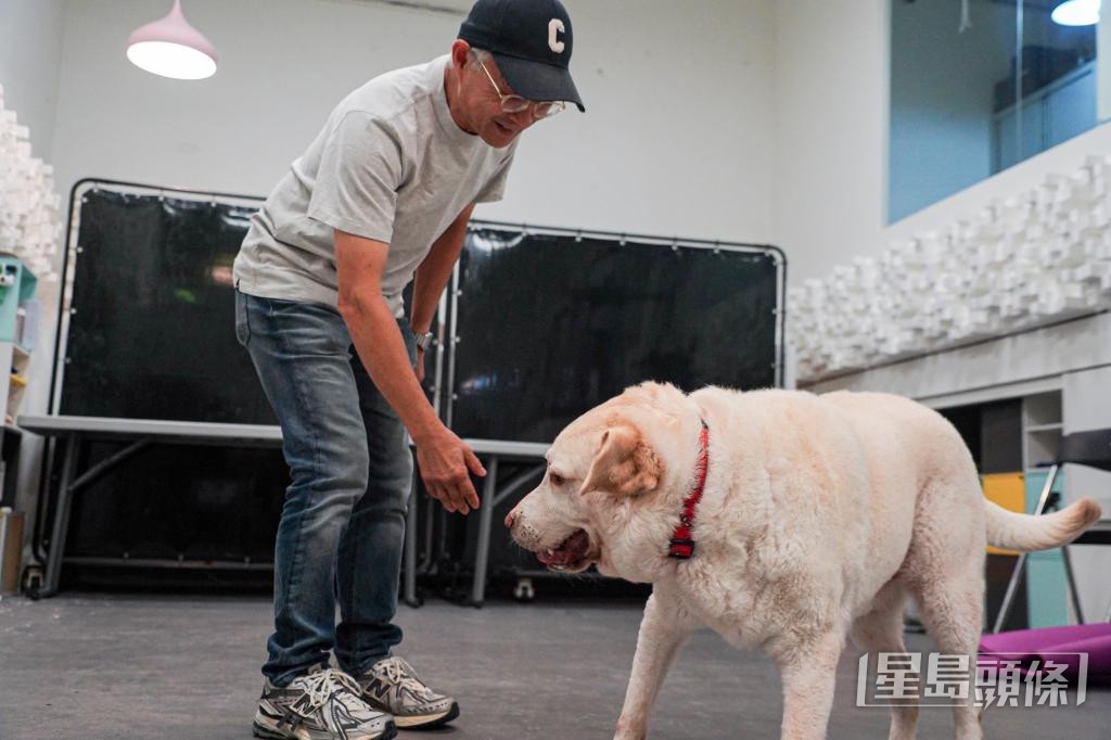 蔡易儕表示,若已知犬隻處於緊張狀態,應停止所有接觸。 蔡易儕表示,若已知犬隻處於緊張狀態,應停止所有接觸。