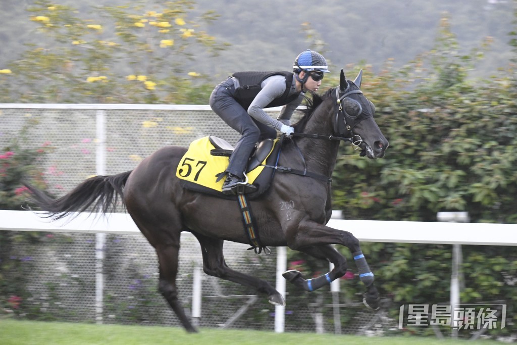 「有你有我」火气极佳神态生猛，去番最弗时。