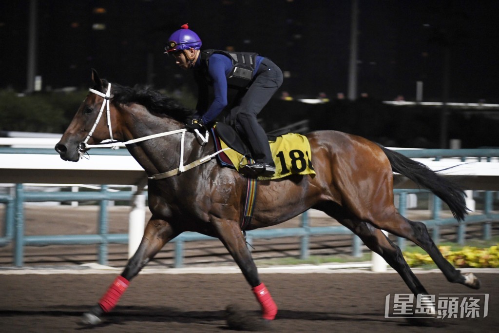 「赤兔猴王」落腳輕巧彈力十足，神態軒昂，銳氣正盛。