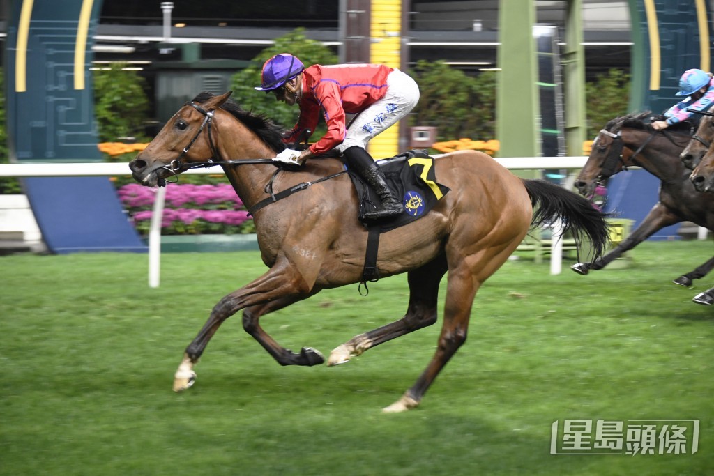 「好實力」今季曾在霍宏聲胯下在同程贏出兩場頭馬。