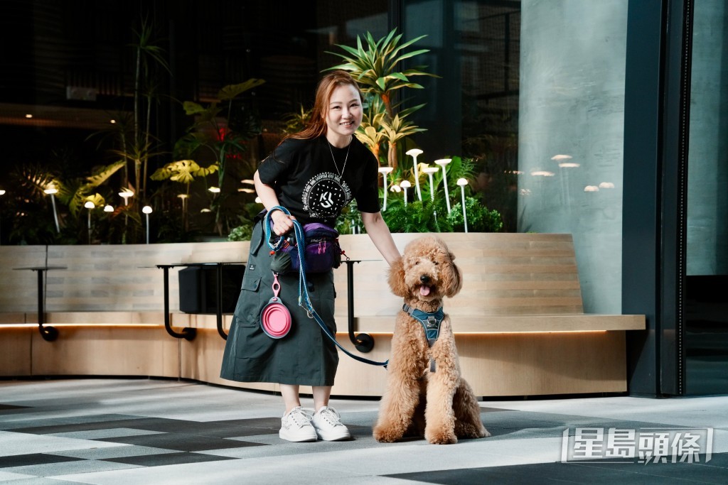 甘小姐建議,飼養體型大且具攻擊性的犬隻「一定要搵trainer」。 甘小姐建議,飼養體型大且具攻擊性的犬隻「一定要搵trainer」。