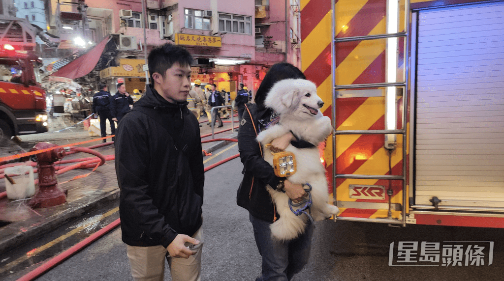 女住客連同愛犬送院。黎志偉攝 女住客連同愛犬送院。黎志偉攝