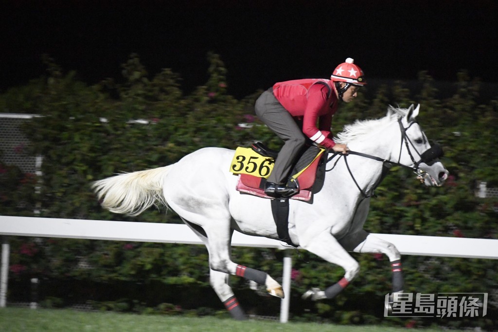  「電玩精英」步伐順暢力展現暗火，正值最佳水準。