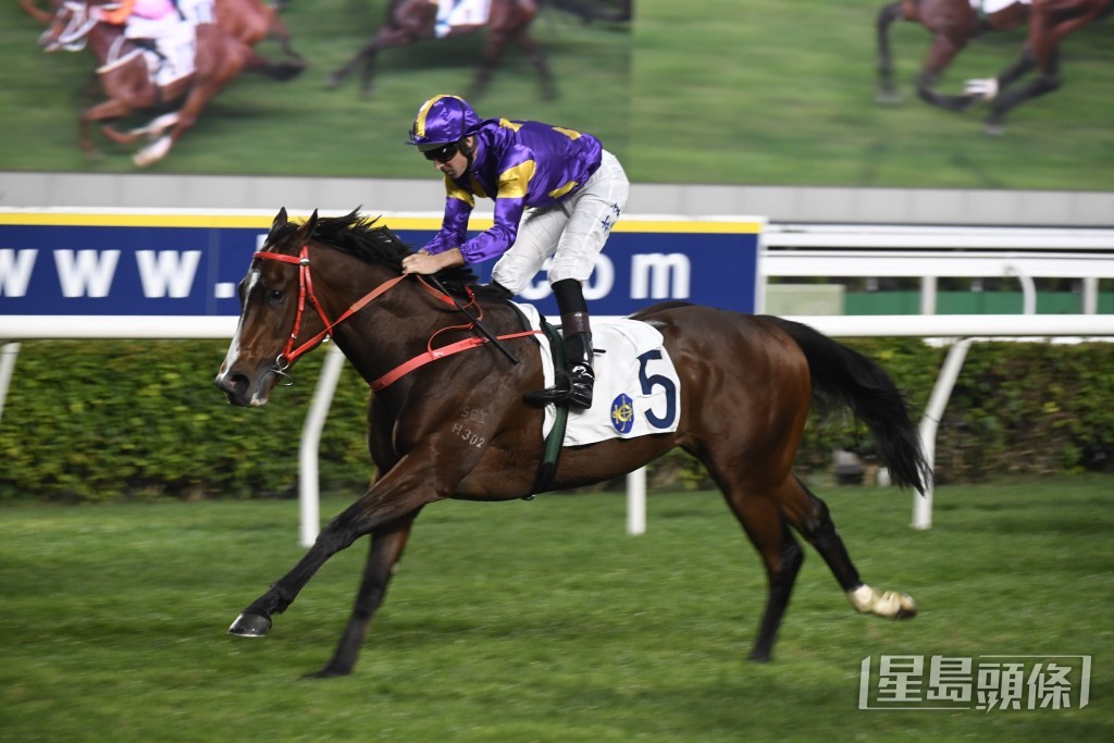 「驕陽明駒」上仗於1月7日以漂亮姿態勝出與今仗同場同程的賽事。