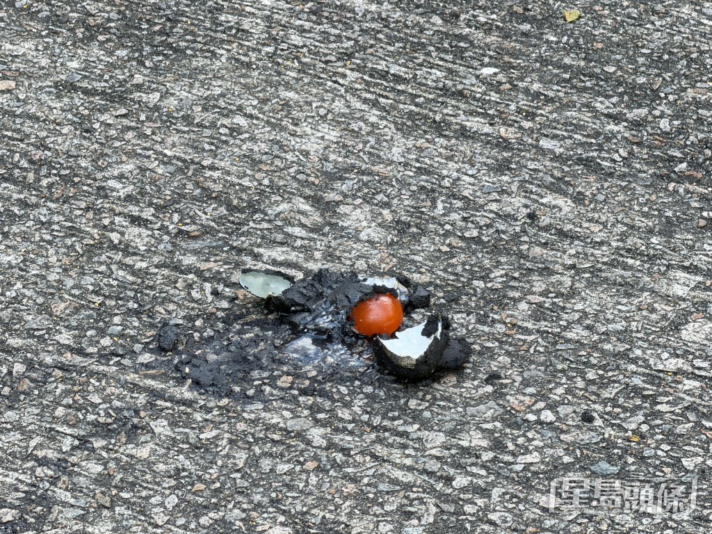 皮蛋被輾爛。 皮蛋被輾爛。