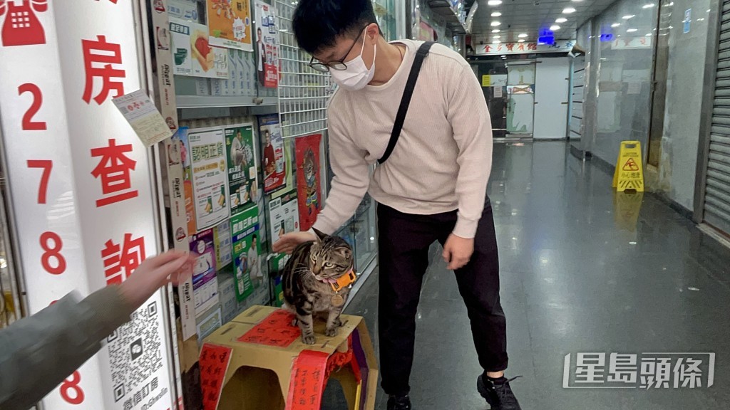 貓主李先生對愛貓寸步不離。楊偉亨攝