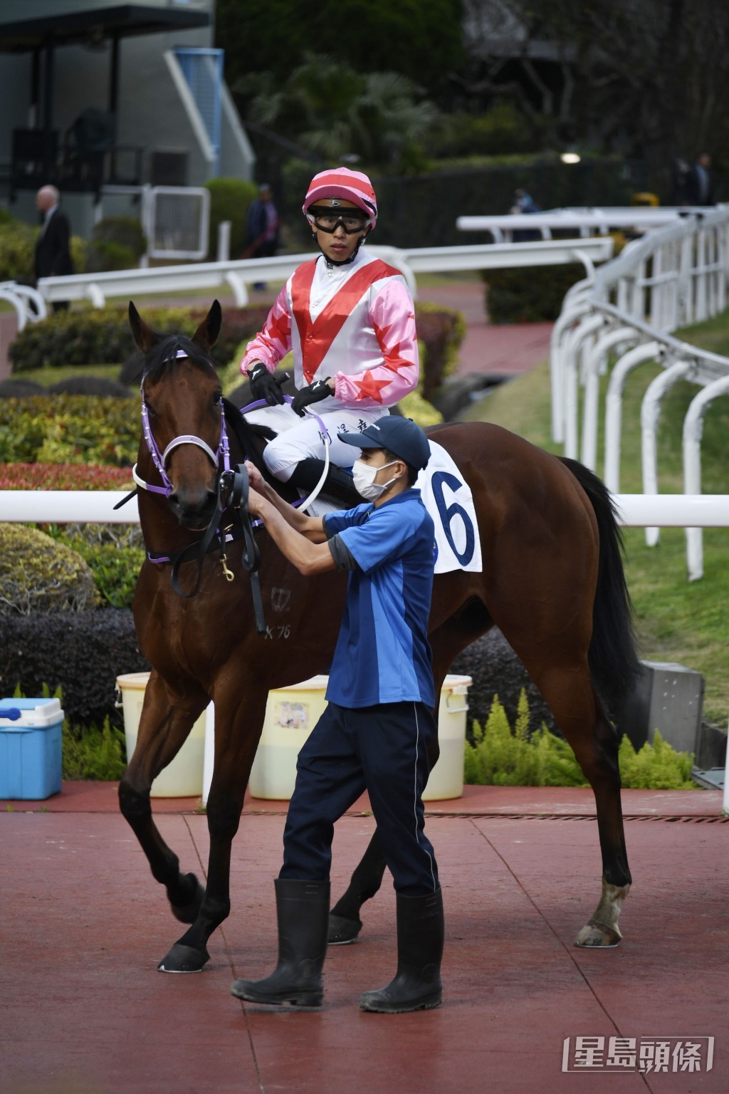  今仗同場不乏快馬，極有利「膨才」後上爭勝。