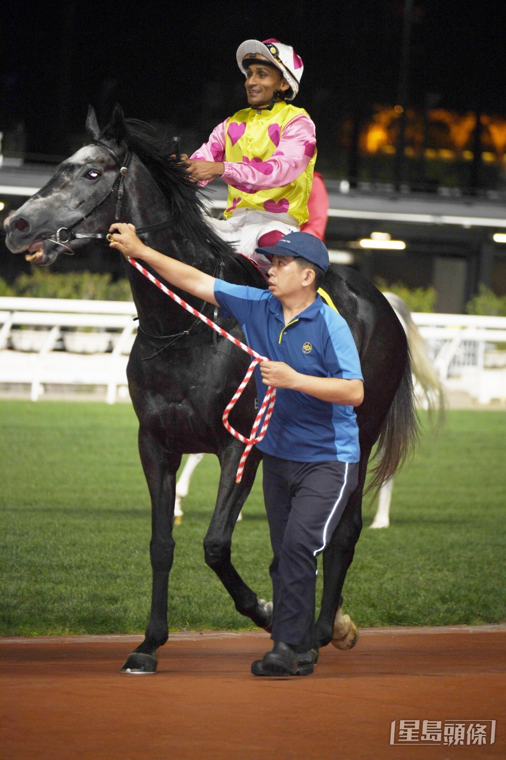 「管之友」今场只要临场跑出水准，将是争胜分子。