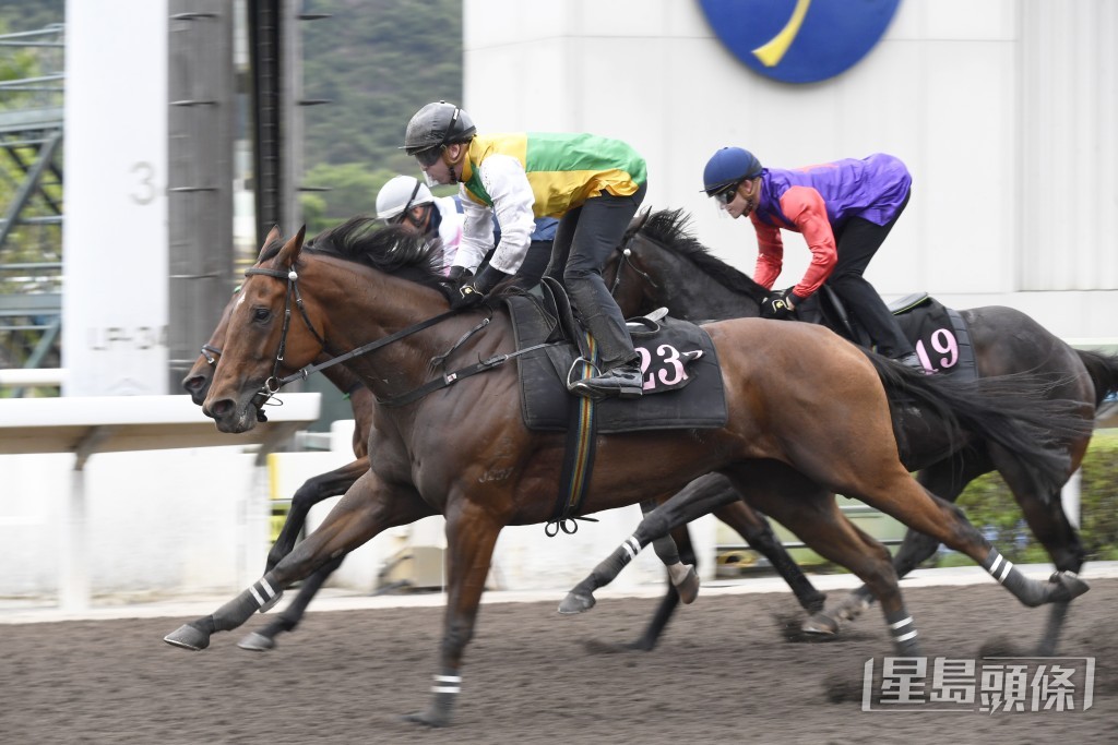 「勇霸龍」過步暢順有力，依然省鏡。