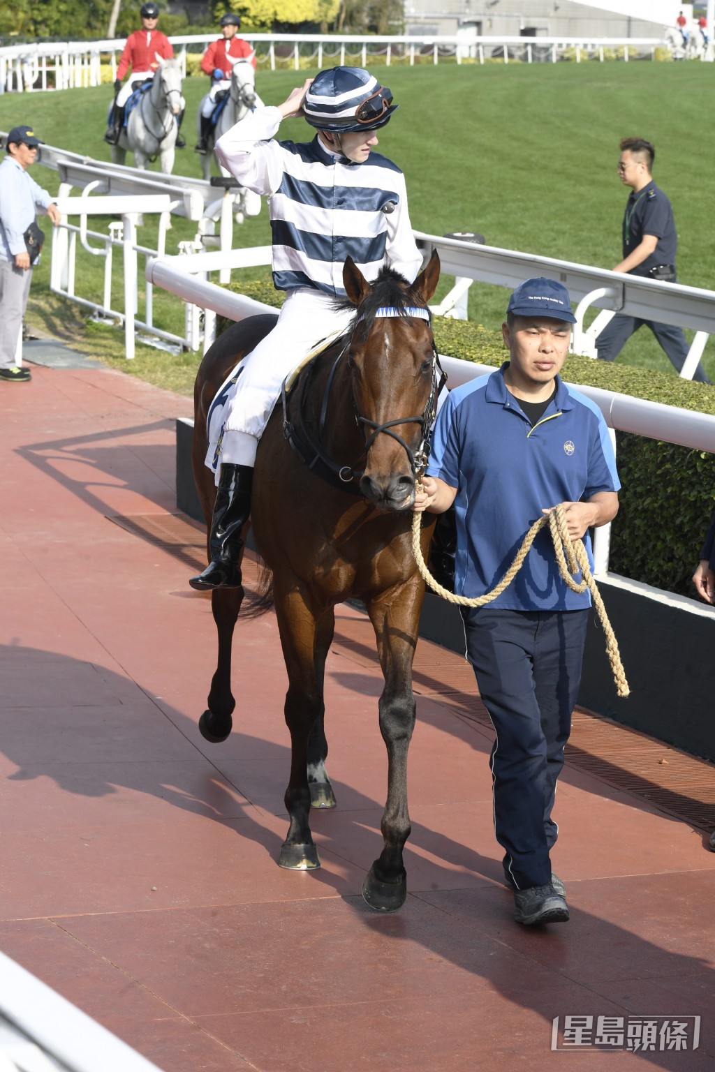 「快乐神驹」季内出赛至今取得一席季军。