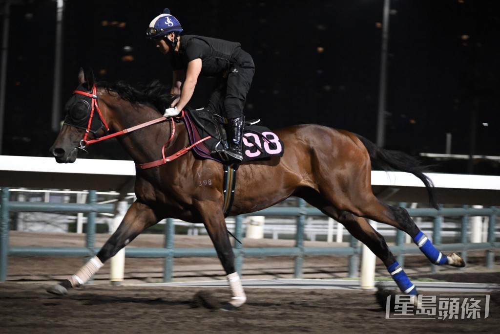 「先到先得」馬身實淨毛色亮麗，前所未見吸引。