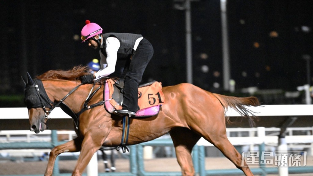 「禪勝閃亮」 「禪勝閃亮」