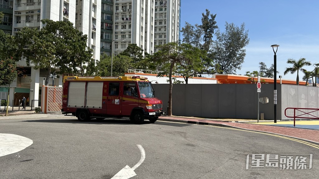 消防到場救走小白鷺。