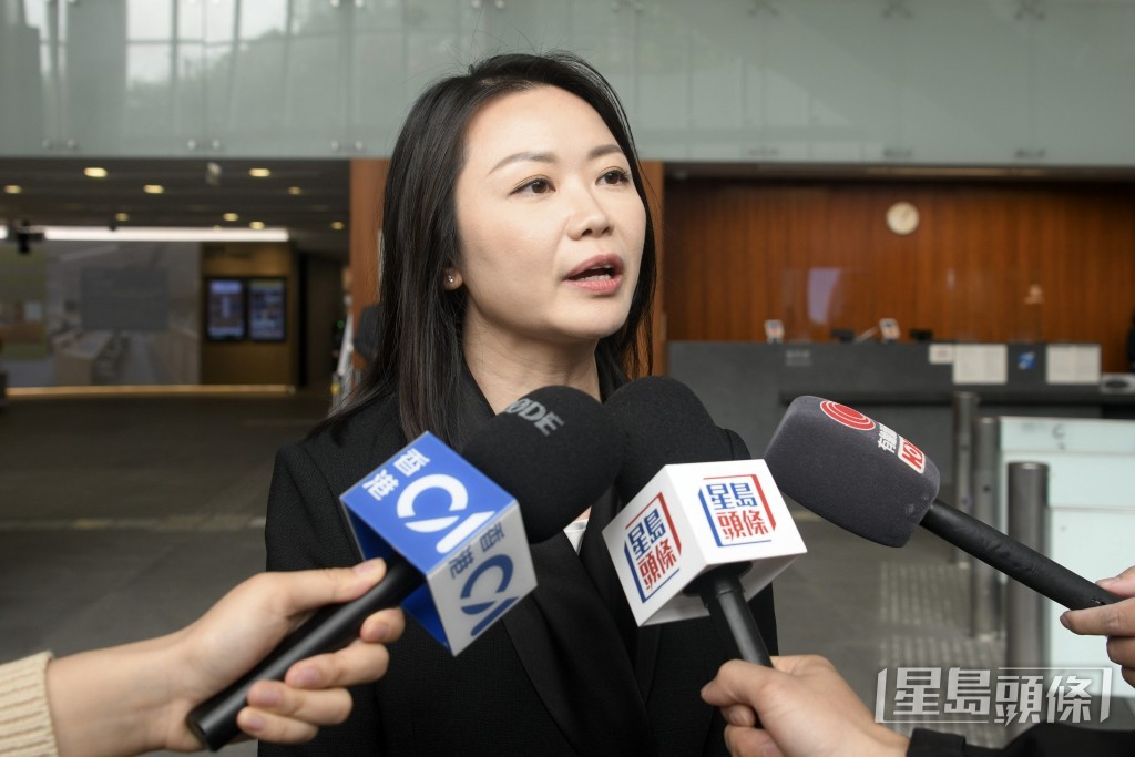 有意參加「大廈管理工作小組」的民建聯立法會、區議會「雙料議員」植潔鈴。資料圖片