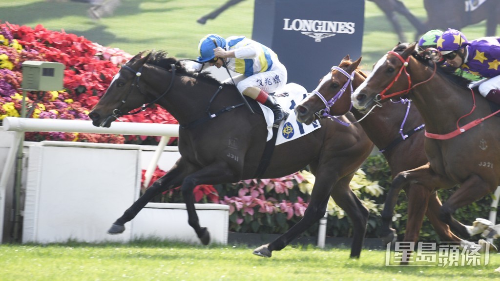  「开心乐园」明日将竞逐第二场四班千二米。