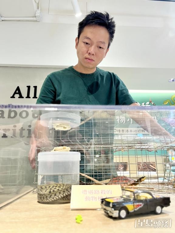 路殺事件是另一項對本地生物的生存威脅。 路殺事件是另一項對本地生物的生存威脅。