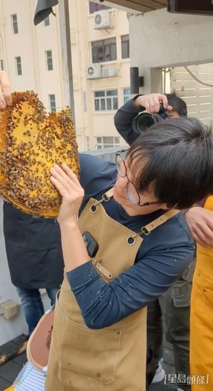 黃嘉漢說，蜜蜂攻擊人，大多因為受到驚嚇。 受訪者提供