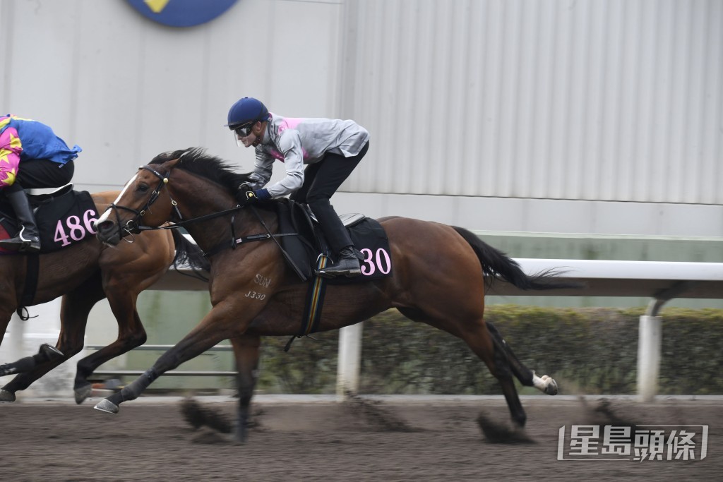 「智跑得」今仗有力在有利環境再贏一場頭馬。