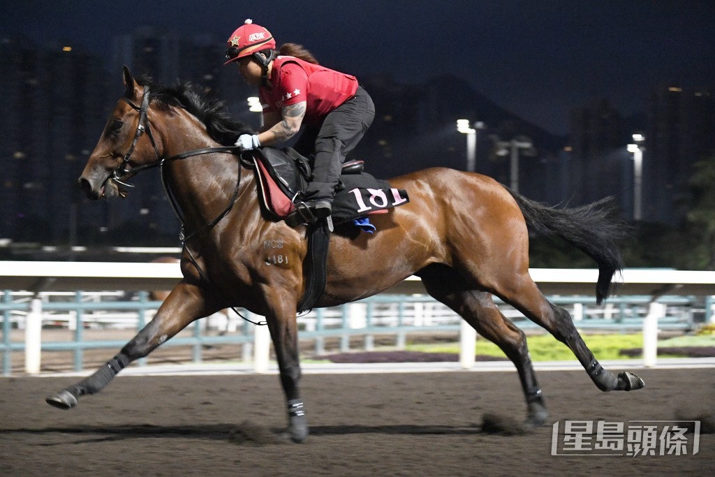 「祥勝力駒」 馬身實淨毛色復現光澤，去番最弗時。