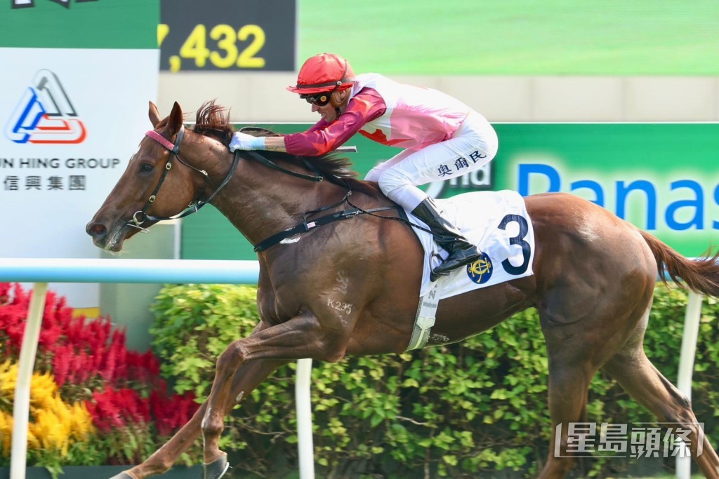 「大愛無疆」轉彎時大波勾,入直路後已經被其他馬匹追越,最後竟以近兩個馬位率先衝線。 「大愛無疆」轉彎時大波勾,入直路後已經被其他馬匹追越,最後竟以近兩個馬位率先衝線。
