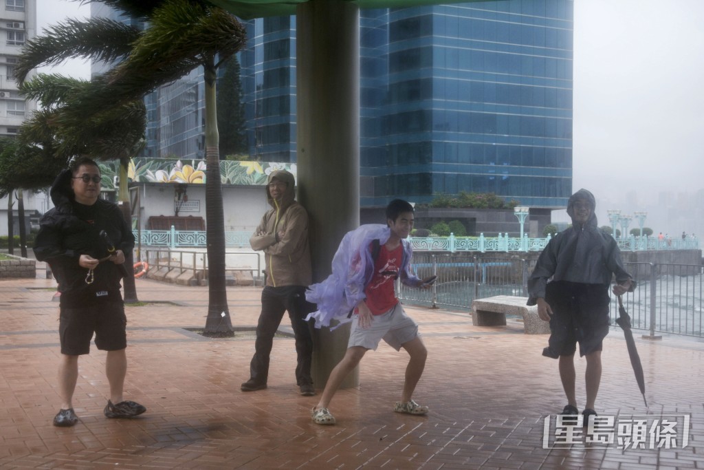 為追風做好準備。陳浩元攝 為追風做好準備。陳浩元攝