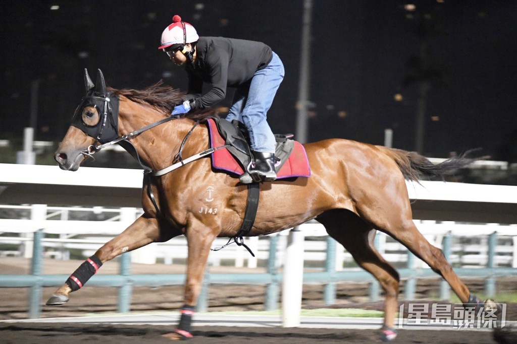 「日馳千里」充滿活力身色都靚，不遜贏馬時。