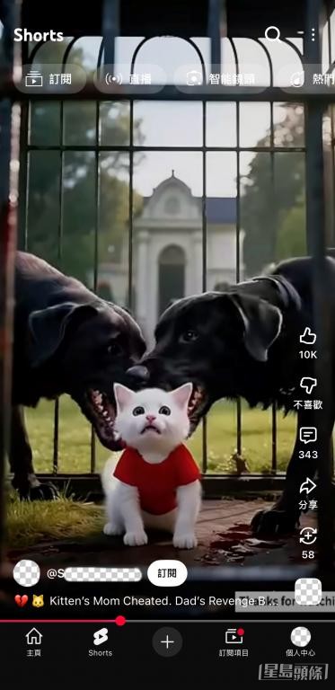 部分影片更涉及暴力，例如年幼小猫被关进兽笼，遭恶狗撕咬等剧情。 影片截图