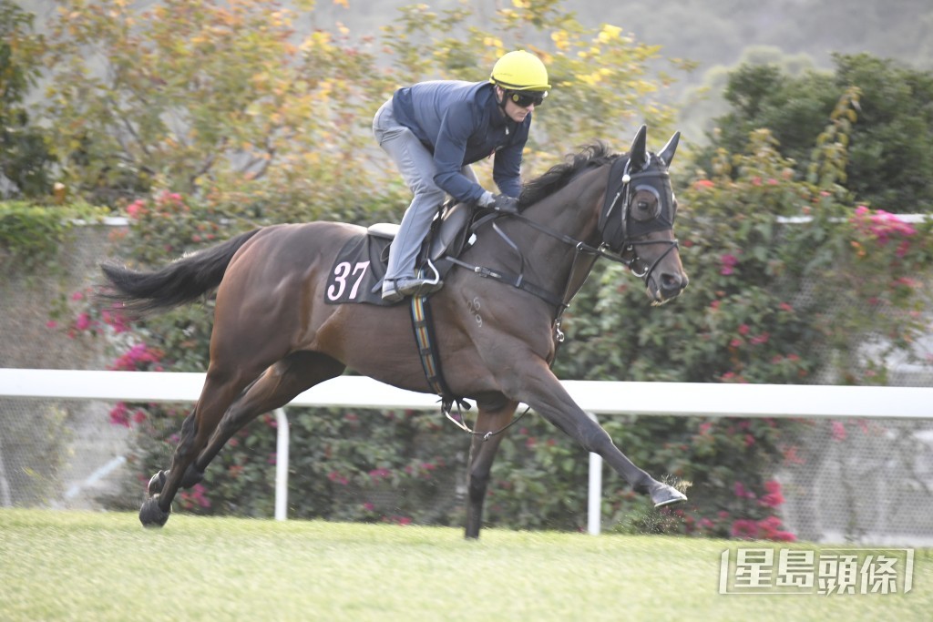 「銳一」力度充足火氣極佳，保持銳利體力未減。