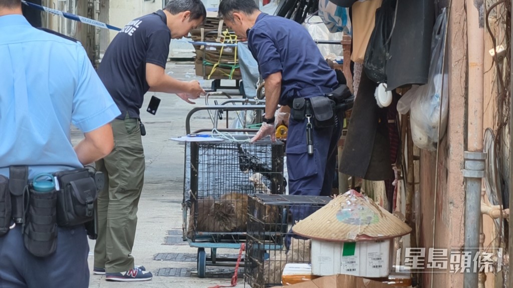 愛護動物協會人員到場協助。 愛護動物協會人員到場協助。