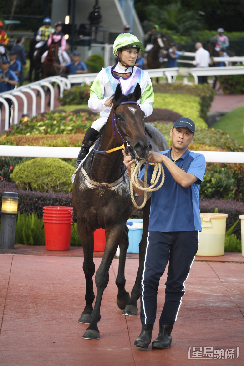 「翹峯」上仗在田草千四米得亞軍。