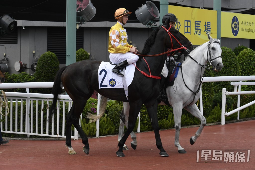 「跨境寶馬」四戰交出三捷佳績。