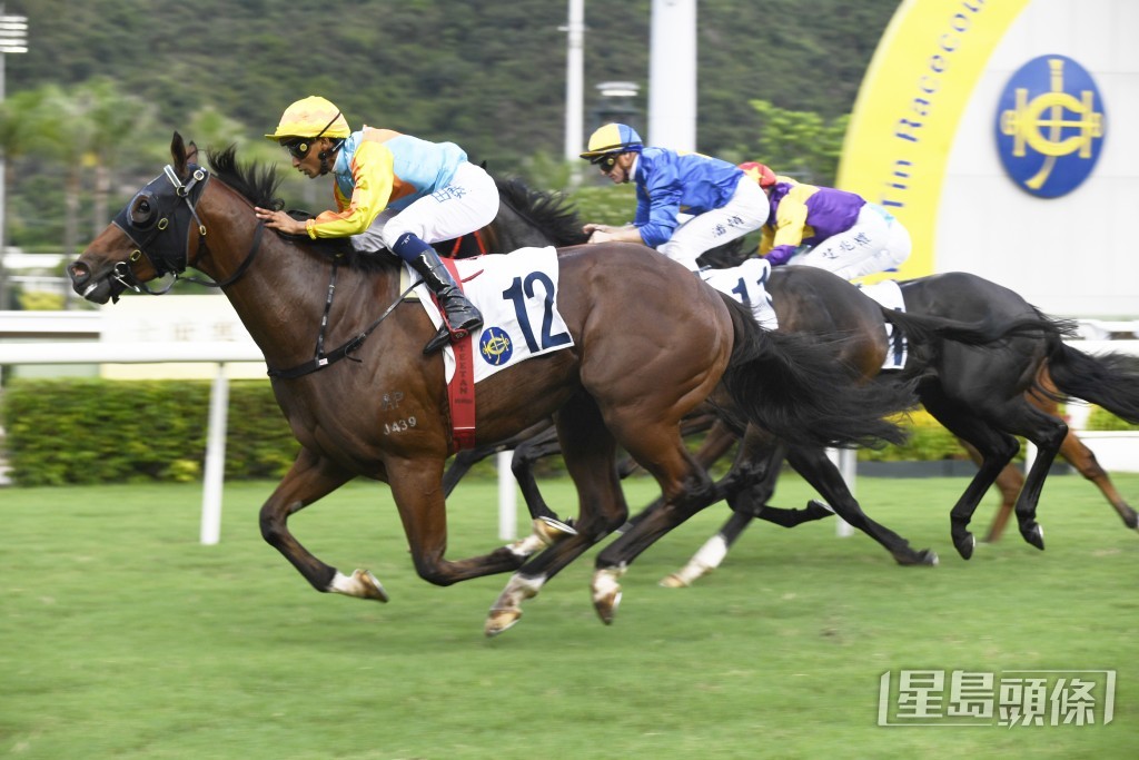「嘉应骏马」在四班具备相当竞争力。