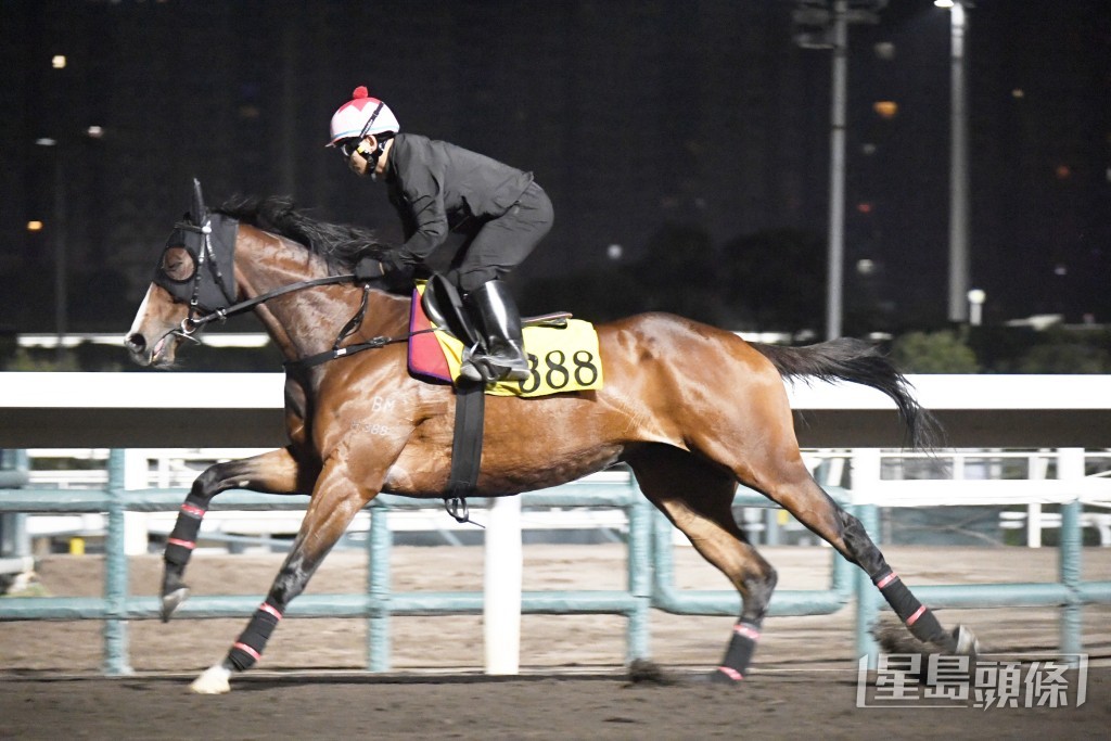 今朝姚本辉与副练姚浩丰齐齐举镜睇实「风火恒云」出试。