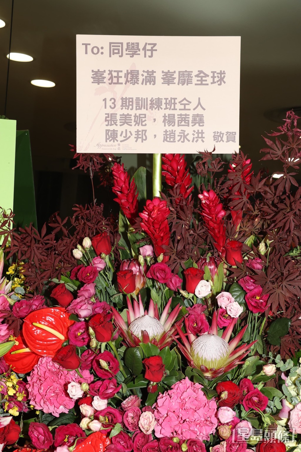 楊茜堯等林峯訓練班同學。 楊茜堯等林峯訓練班同學。