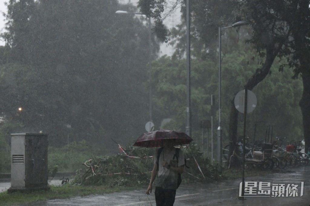 今早黑雨情況。汪旭峰攝 今早黑雨情況。汪旭峰攝
