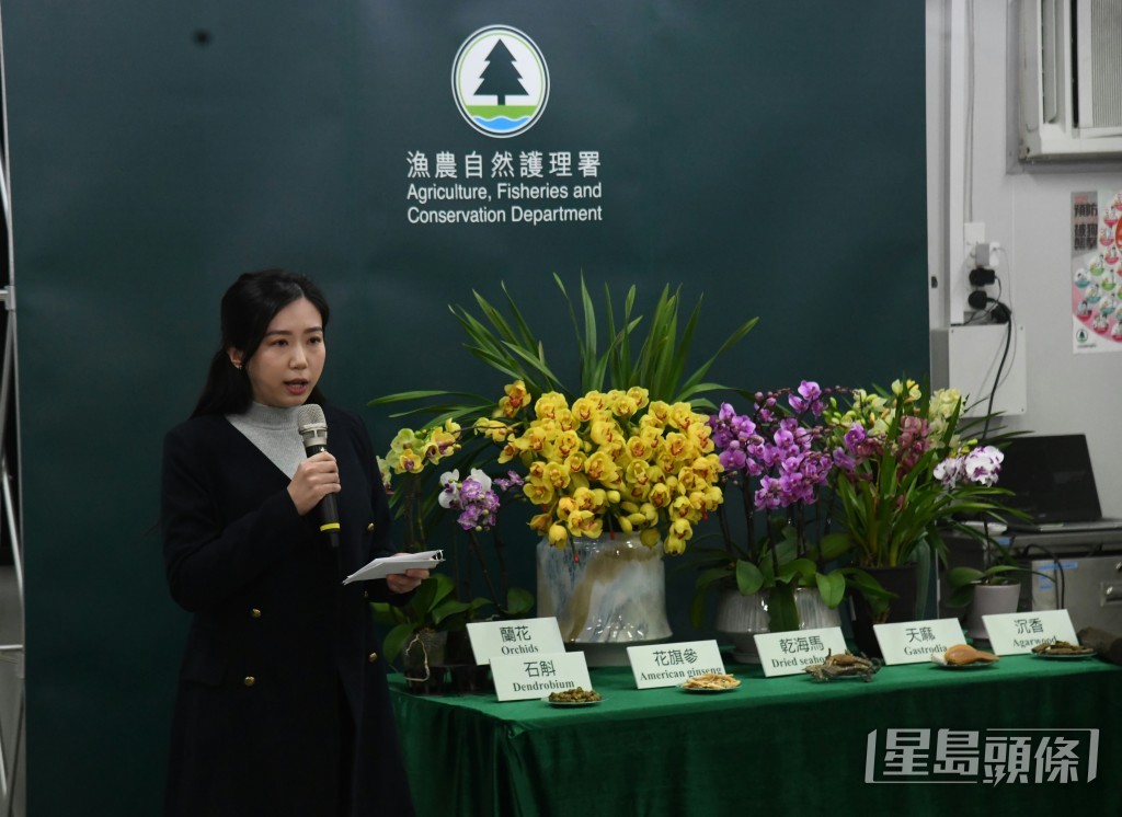 漁護署瀕危物種保護主任(牌照事務)劉宛容。 漁護署瀕危物種保護主任(牌照事務)劉宛容。