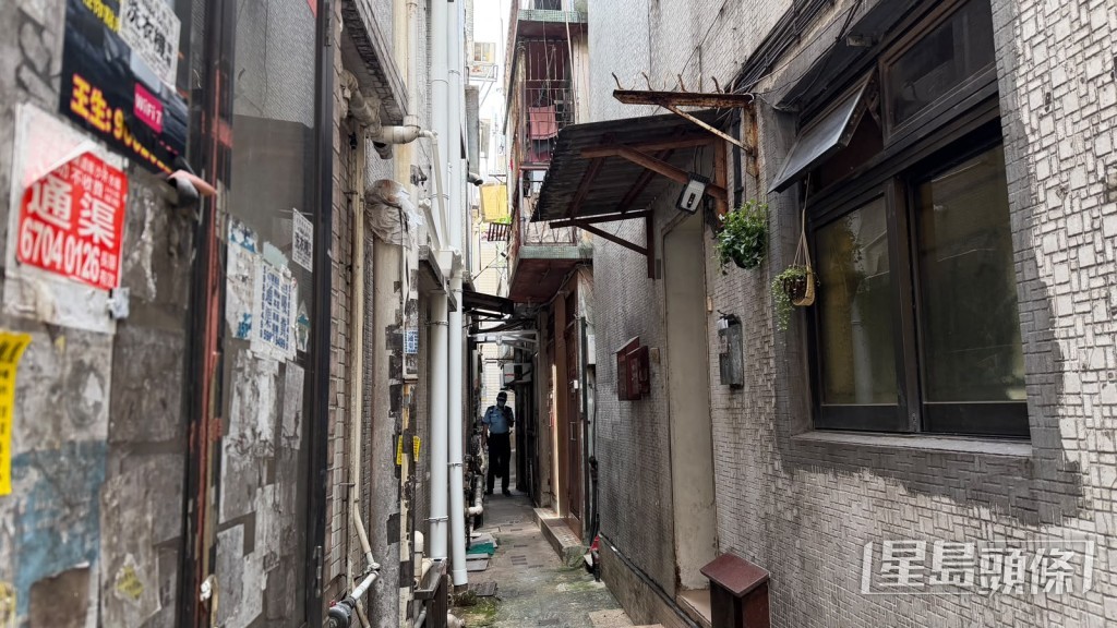 陳卓楠攝 陳卓楠攝