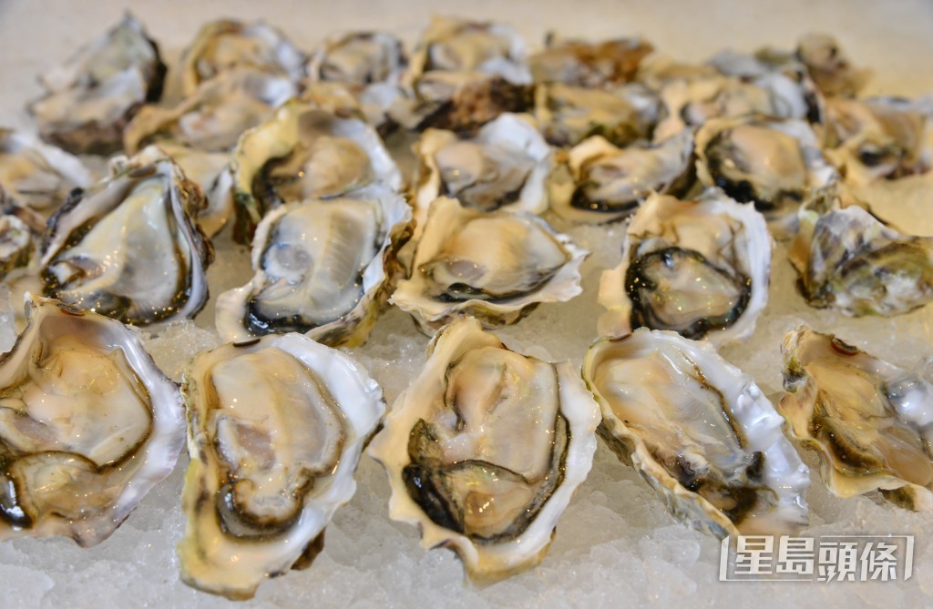 袁國勇表示，若大海遭糞便污染，基於生蠔以過濾方式進食，病毒可在蠔體內「濃縮99倍」。