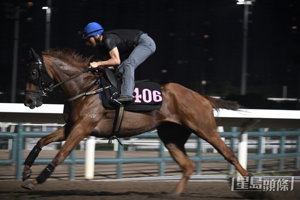 「飛黃」馬身收得壯碩，勇銳之餘持續進步。